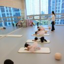 프리마발레학원 이미지