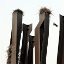 까치공원 조형물 이미지