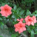 서당공원 화장실 이미지