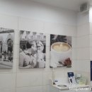 빨라쪼주