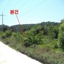 대산면920 이미지