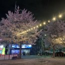빨간포차 - 대덕구 중리남로 32 | 밀양 벚꽃 술집 어디갈지 고민이면 🌸 빨간포차 야장 다녀온 후기