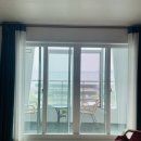 행복한카센타 | [애견동반제주여행]정맘이랑 여름제주_렌트카혼유후기_강아지랑카약타기