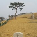 성동리 고분군 이미지