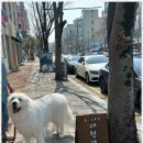 온 그루밍 이미지