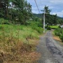 고성부동산중개사무소 이미지