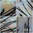 The. Q 당구존 | 두피 뻐근한 직장인이라면? 공덕역헤드스파 스킨핏헤드스파 공덕점 후기