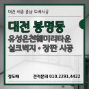 훼미리타운 | 대전 도배업체 정도배 봉명동 온천훼미리타운아파트 실크•장판시공