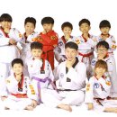 한국체대 비전태권도 이미지