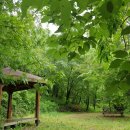 황령산레포츠공원 체육센터 이미지