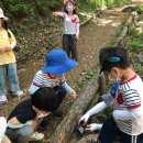 본아미강남어린이집 이미지