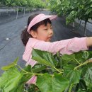 보석농장 이미지