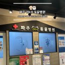 운정한빛동물병원 | [오늘의 일상/운정 24시 동물병원] 파주 운정 동물병원 후기 &#34;파주 24시 동물병원&#34; 내돈내산