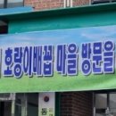 호랑이배꼽마을 이미지