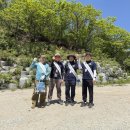 단양관광 충청타임즈