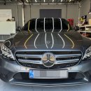 카티스트 이미지