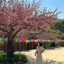 동산가맥 | 4월 돼지런 ! (2)