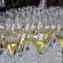 작은 유리잔 이미지