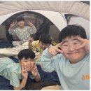 팀태권도장 이미지