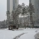 대전 서구 도안동 도안 계룡리슈빌 아파트 단지 겨울 이미지