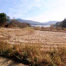 반곡농장 이미지