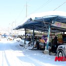 영산포풍물시장 이미지