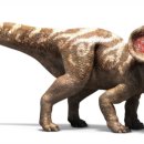 프로토케라톱스 이미지