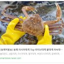 동해항씨푸드 이미지