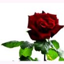 오월의 언덕 이미지