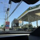 버드나무주유소 이미지