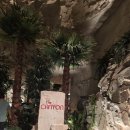 커피샵() | ☕ 클락 한 리조트 속 ‘The Canyon’ - 말 그대로 협곡 안에 들어온 듯한 커피샵 리얼 후기