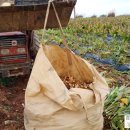 검산농장 이미지