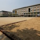 대구강림초등학교 이미지