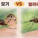 수영김내과의원 이미지