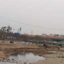동천교 좌안 Daum카페