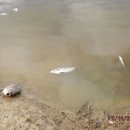 비안농장 이미지