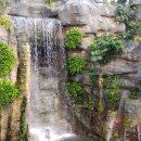 거제식물원 이미지