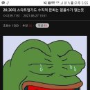 세한실업 | 소규모 스타트업에 취직한 개발자의 울분