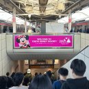 주식회사 맥스테일 | [일본] 도쿄 여행기 - 2. 도쿄 디즈니랜드