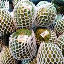 전주반찬 이미지