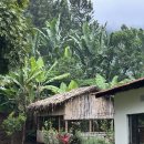 장기농장 | 탄자니아 아루샤 커피농장체험 후기,가격