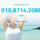 미니핏다이어트