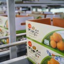 김제상회 이미지