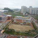 율곡 초등학교 앞 이미지