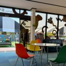 안면리조트 | 아이와 함께 가볼 만한 안면도여행코스 추천 태안 안면카트체험장 후기