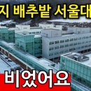 강원도 혈세 &#39;3000억&#39; 서울대학교 평창캠퍼스 | 유령도 절레절레 이미지