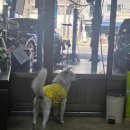 성호카센타 네이버블로그