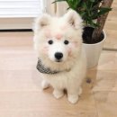 허리편한병원 이미지