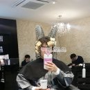 순영헤어샵