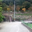 소리봉농장 Daum카페